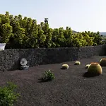 Timanfaya Villa Tahiche
